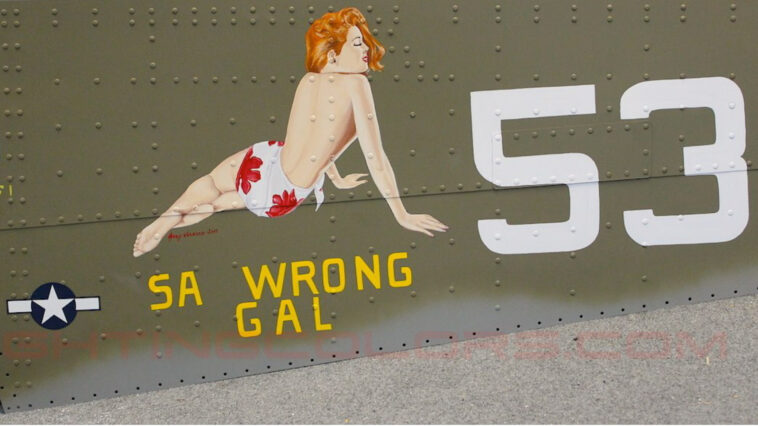 B24-SA-Wrong-Gal.jpg Fighting Colors