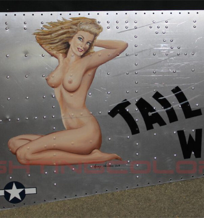 B24-Tail-Wind.jpg Fighting Colors