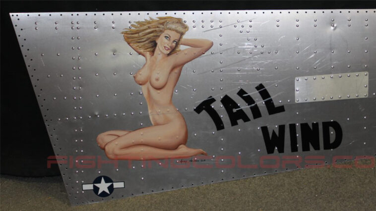 B24-Tail-Wind.jpg Fighting Colors