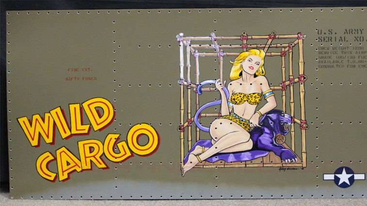 B25-Wild-Cargo.jpg Fighting Colors